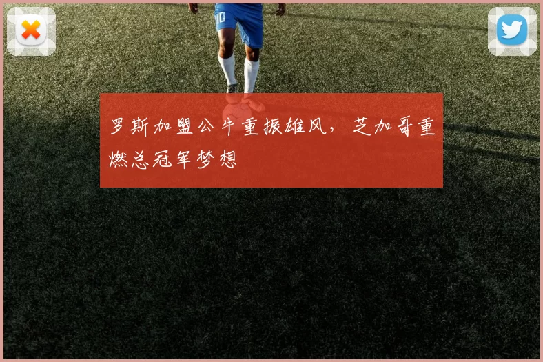 罗斯加盟公牛重振雄风，芝加哥重燃总冠军梦想