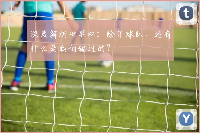 深度解析世界杯:除了球队,还有什么是我们错过的?