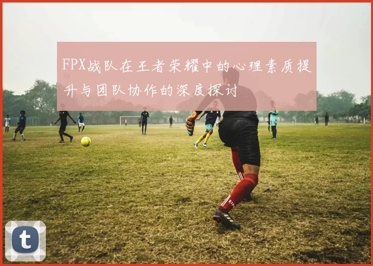 FPX战队在王者荣耀中的心理素质提升与团队协作的深度探讨