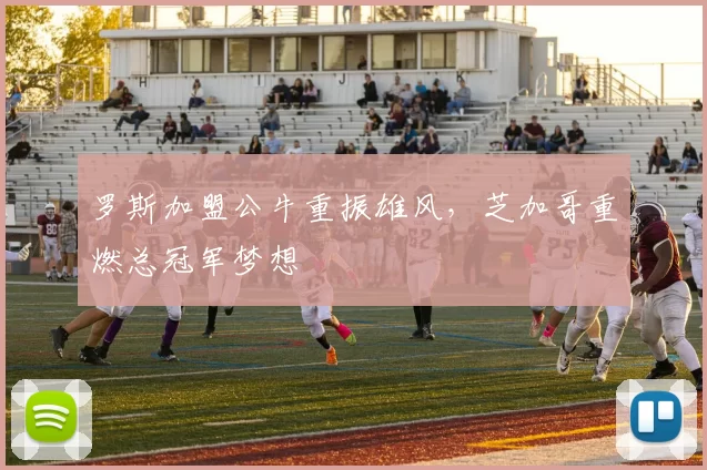 罗斯加盟公牛重振雄风，芝加哥重燃总冠军梦想