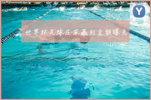 世界杯足球庄家赢利金额曝光