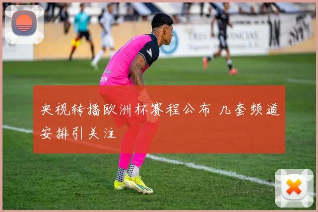 央视转播欧洲杯赛程公布 几套频道安排引关注