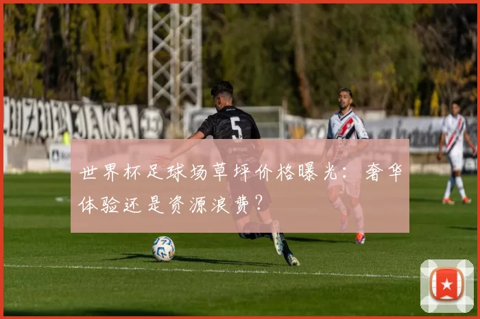 世界杯足球场草坪价格曝光：奢华体验还是资源浪费？