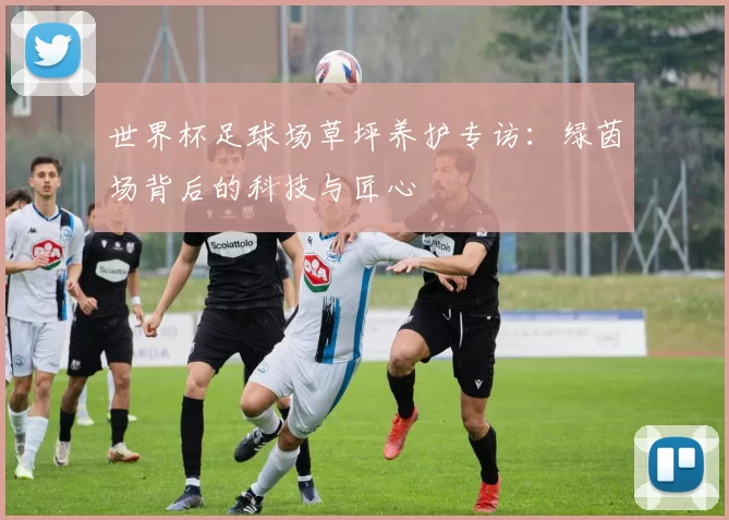 世界杯足球场草坪养护专访：绿茵场背后的科技与匠心