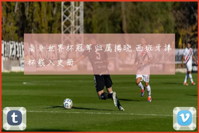 南非世界杯冠军归属揭晓 西班牙捧杯载入史册