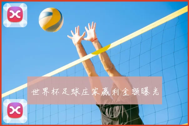 世界杯足球庄家赢利金额曝光