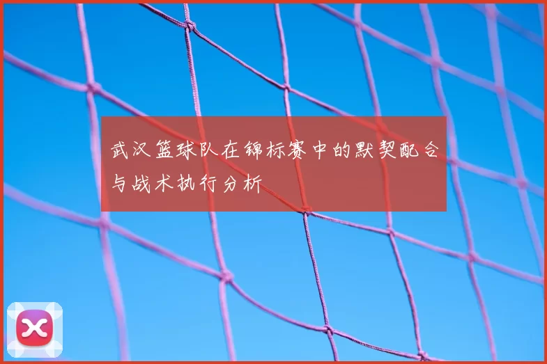 武汉篮球队在锦标赛中的默契配合与战术执行分析