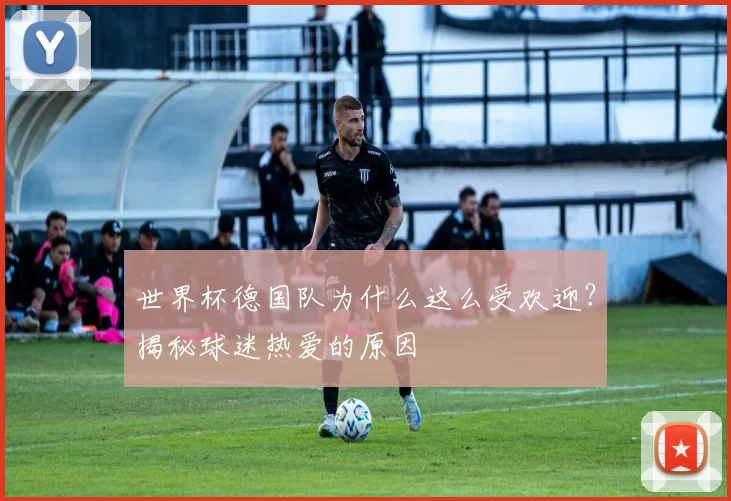 世界杯德国队为什么这么受欢迎?揭秘球迷热爱的原因