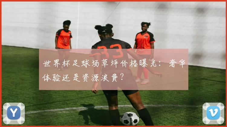 世界杯足球场草坪价格曝光：奢华体验还是资源浪费？