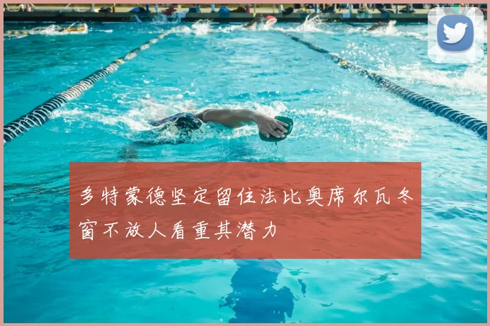 多特蒙德坚定留住法比奥席尔瓦冬窗不放人看重其潜力