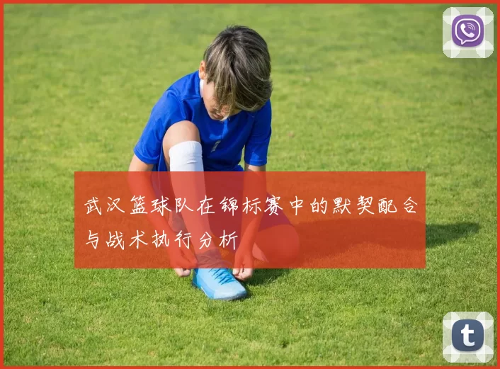 武汉篮球队在锦标赛中的默契配合与战术执行分析