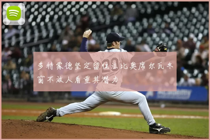 多特蒙德坚定留住法比奥席尔瓦冬窗不放人看重其潜力