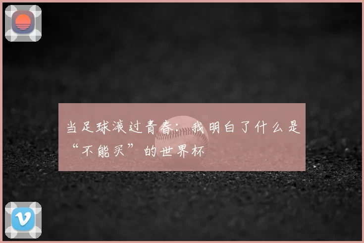 当足球滚过青春:我明白了什么是“不能买”的世界杯