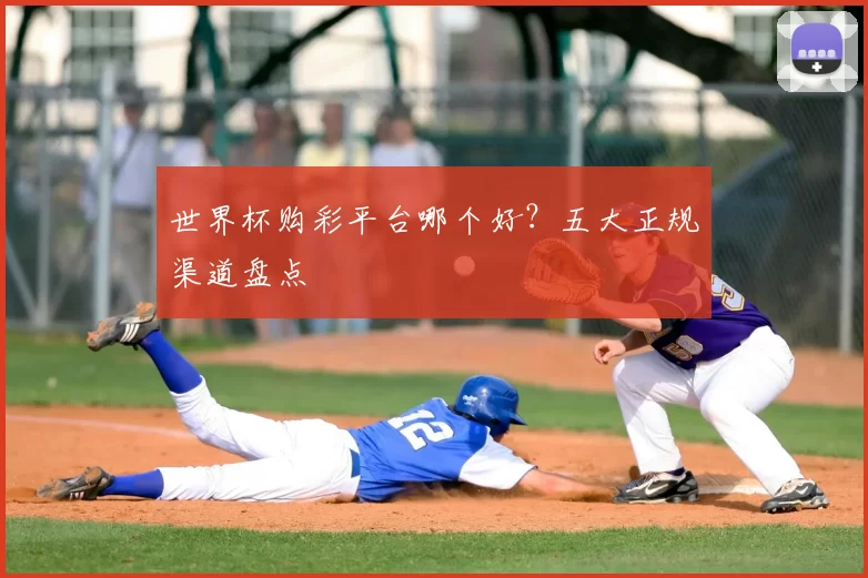 世界杯购彩平台哪个好?五大正规渠道盘点
