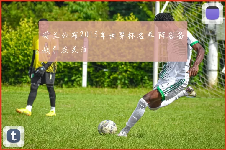 荷兰公布2015年世界杯名单 阵容备战引发关注