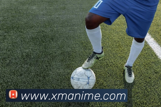 多媒体互动体验